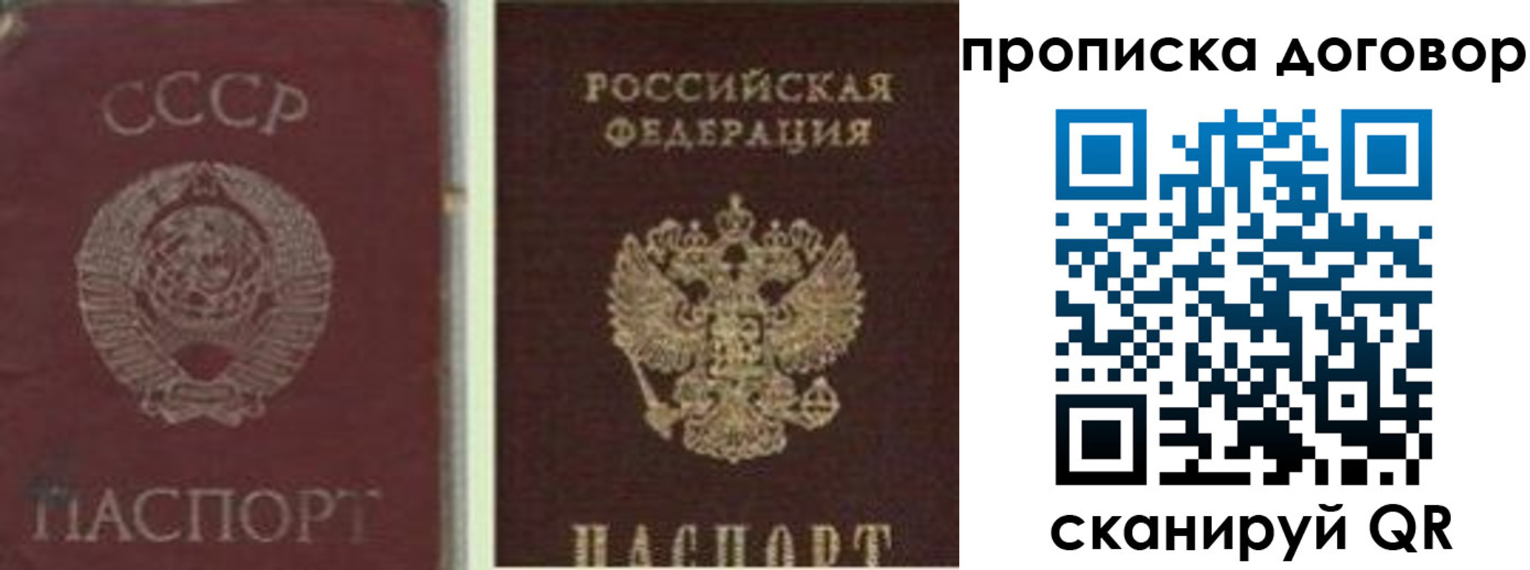 прописка гарантия в Карачеве